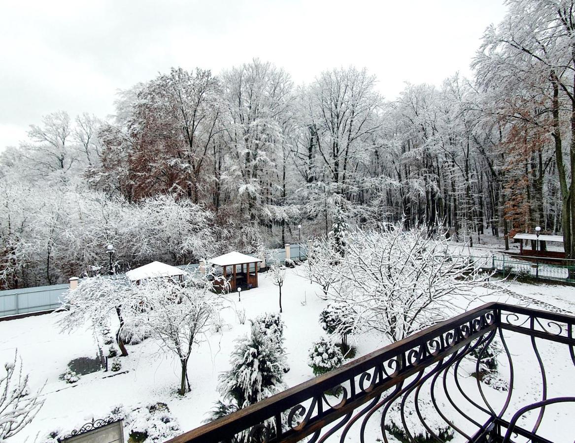 Villa Zenko Lviv Exterior foto